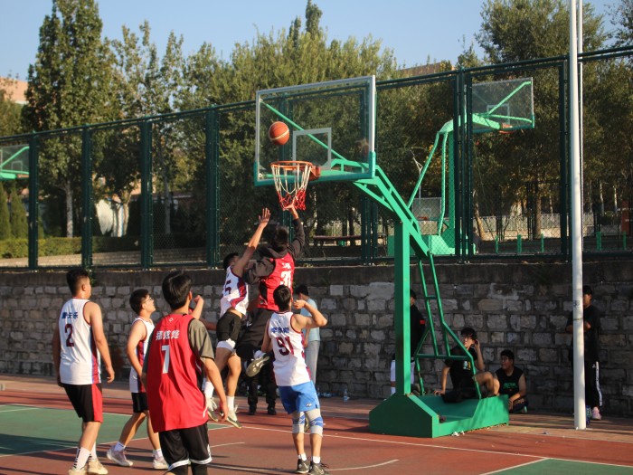 1699317792452359.jpg 篮球2.jpg