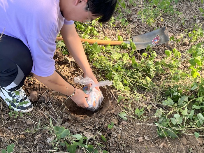 1724218688708414.jpg 微信图片_20240819151706.jpg