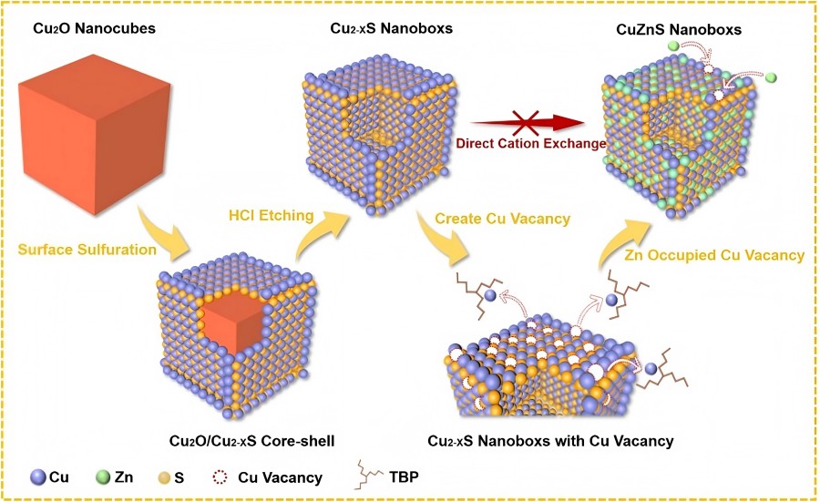 1739411612684932.jpg 图片1.jpg