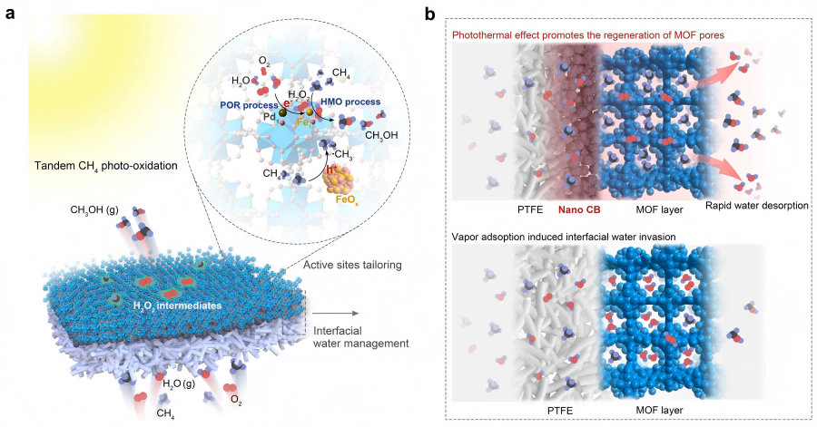 1739427962654216.png 新闻稿图片.png