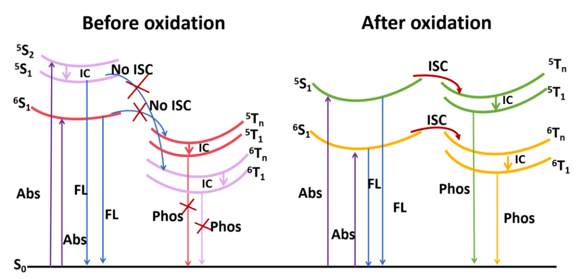 1739428210440780.png 郭玉荣新闻稿2图片.png