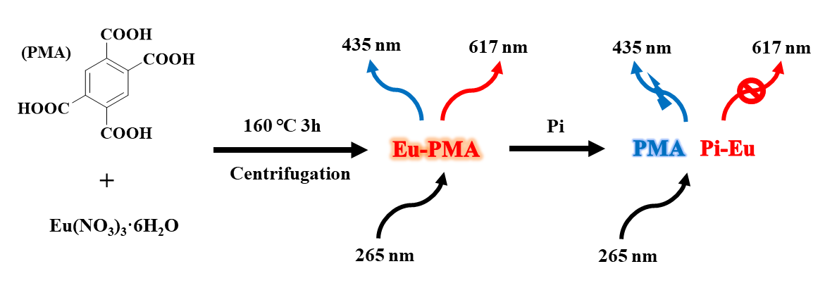 1739428268251508.png 郭玉荣新闻稿3图片.png