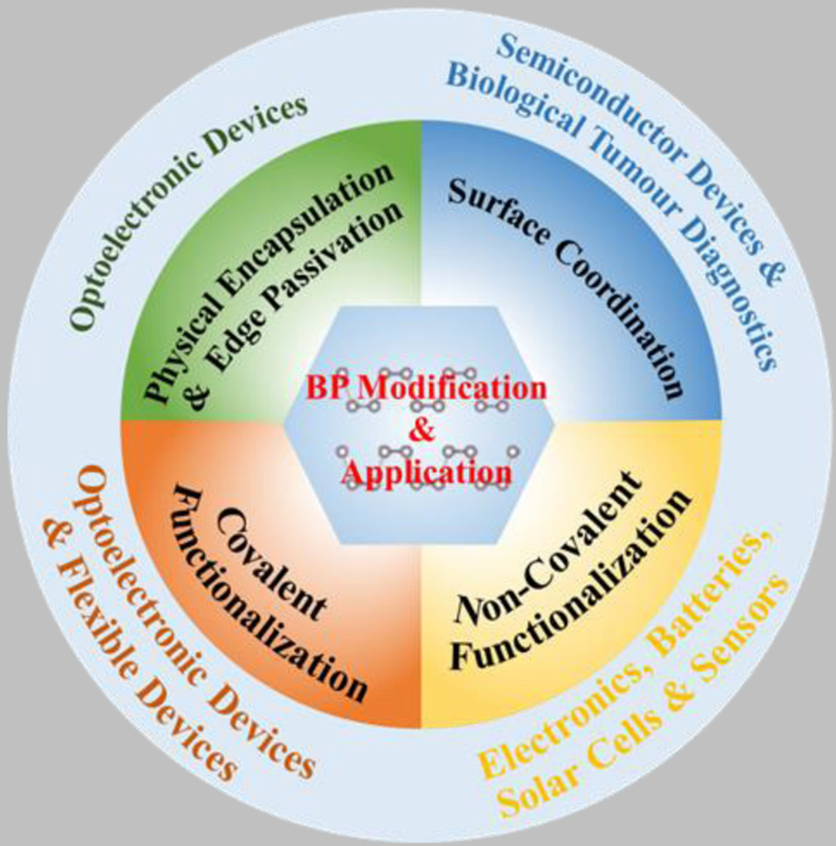 1739433081995972.png 新闻稿20241127.png