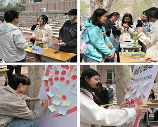 1744621003670199.jpg 1744620936203.jpg