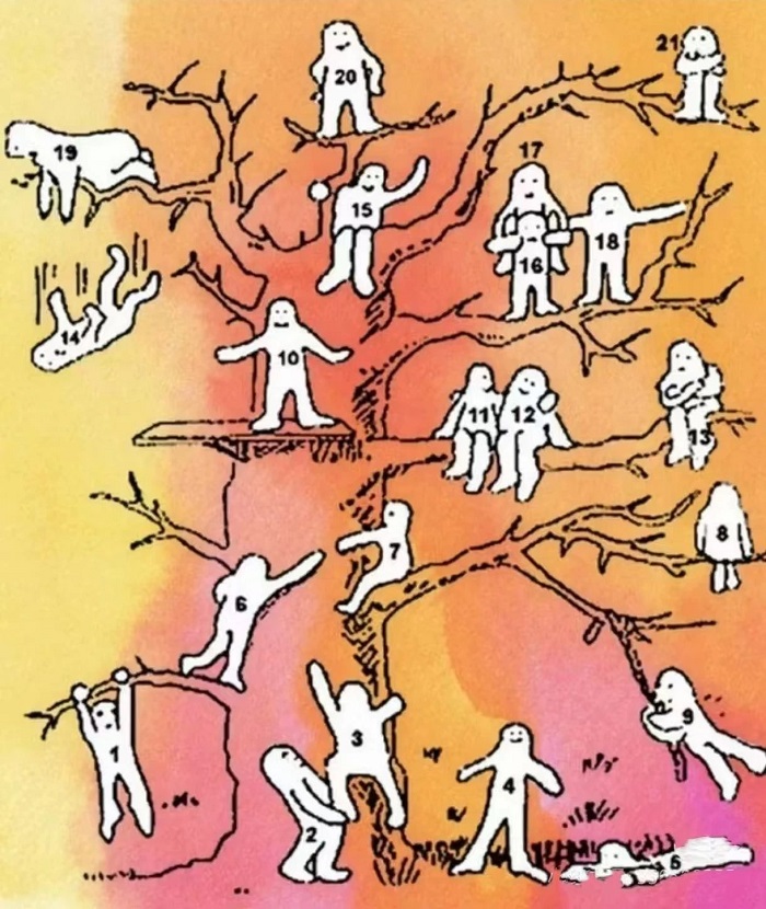 1744766711784907.jpg 树测试.jpg