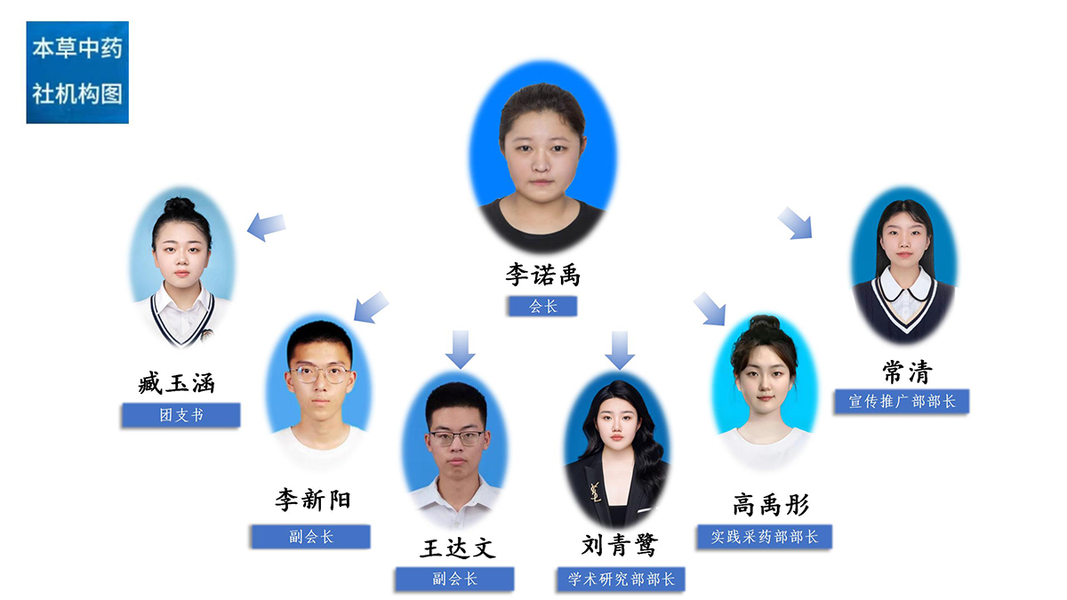 1748590955411913.jpg 本草中药_02.jpg