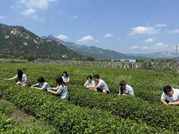 1752808527917592.png 图片1.png